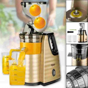extracteur-jus-raf-r2838-electrique-dakar-senegal